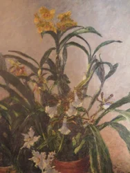 Orchidées jaunes